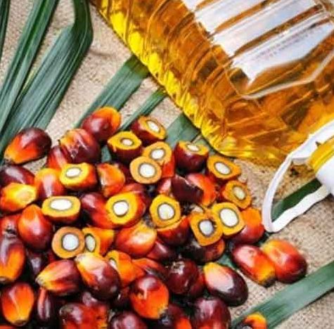 Government promotes downstreaming of palm oil